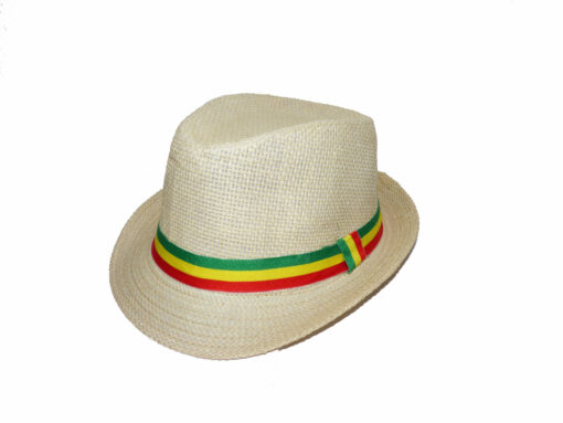 Chapeau Beige Rasta