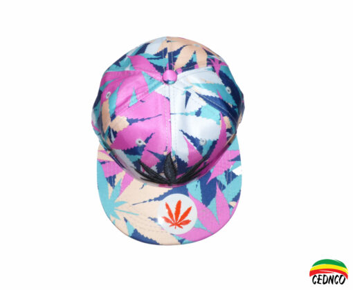 Casquette Feuille Rose & Bleue – Image 2
