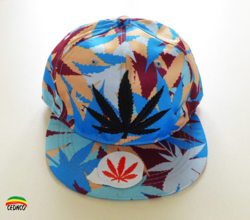 Casquette Feuille Bleue