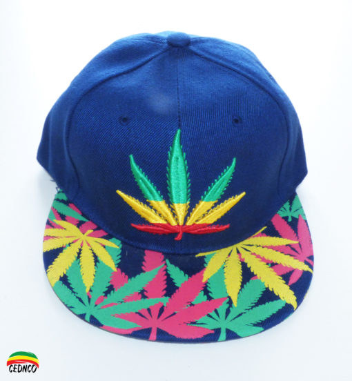 Casquette Feuille Bleue