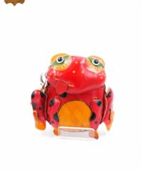 Porte Monnaie Cuir Grenouille