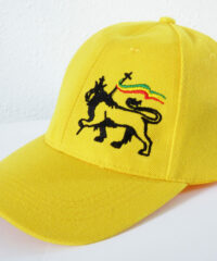 Casquette Brodée Lion