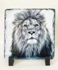 Ardoise Lion Noir & Blanc