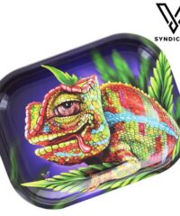 Plateau de Roulage Caméléon