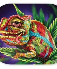 Mag Slaps - Caméléon