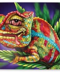 Mag Slaps - Caméléon