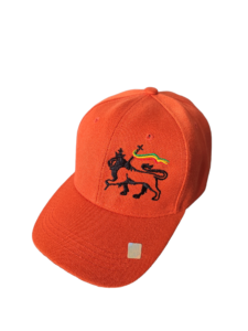 Casquette Brodée Lion