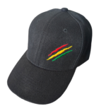 Casquette brodée Griffe rasta