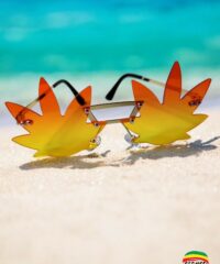 Lunettes Feuilles